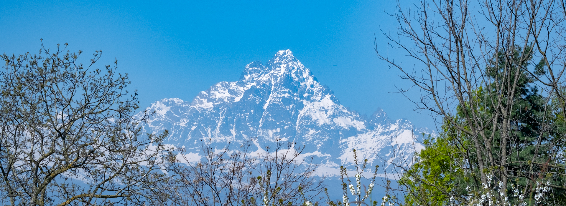 Monviso dall'agricola l'olmo